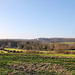 Blick Richtung Cappenberg (Werne-Langern) / 28.02.2021