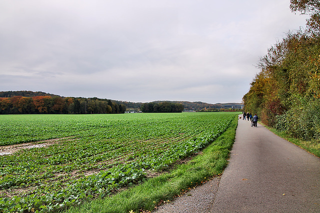 Mintarder Weg (Essen-Kettwig) / 1.11.2023