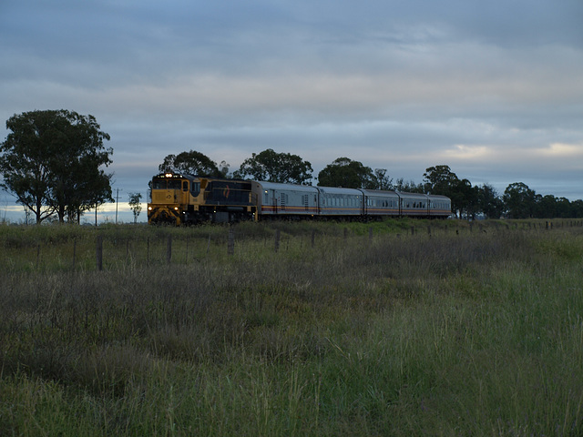 201501Westlander Jond Oakey 738