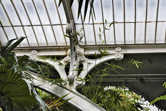 One Way to Raise the Roof – The Palm House, Kew Gardens, Richmond upon Thames, London, England