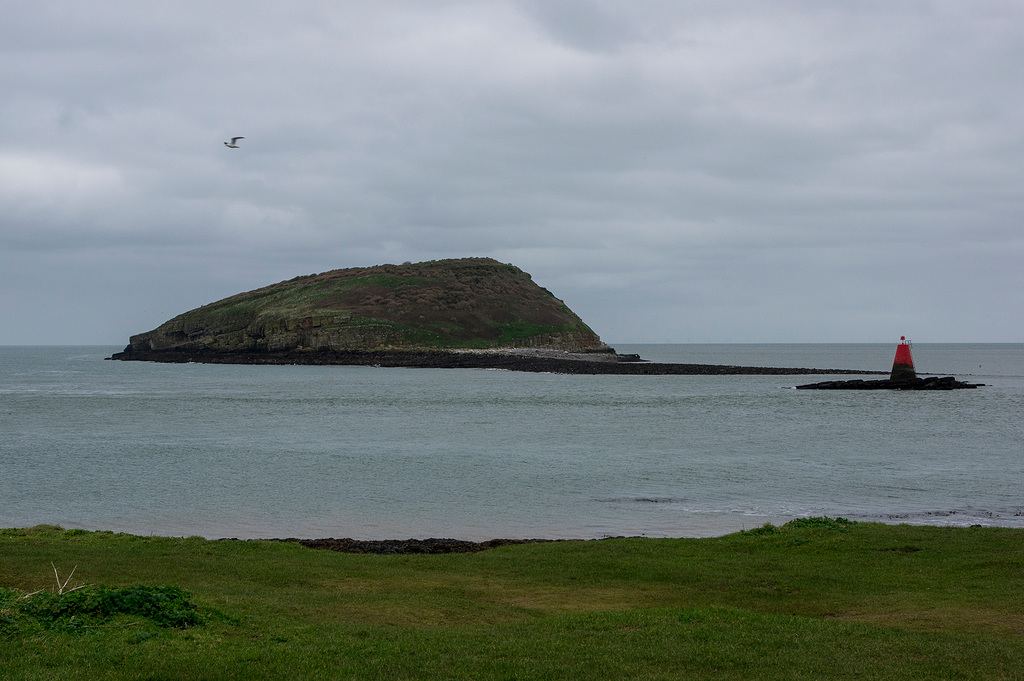 Puffin Island.3jpg