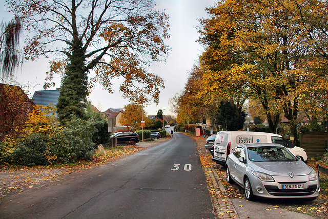 Oberer Hilding (Voerde-Götterswickerhamm) / 19.11.2022