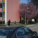 KR607679©IngoKrehl