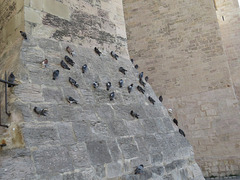 Abbaye Saint-Victor, 1.