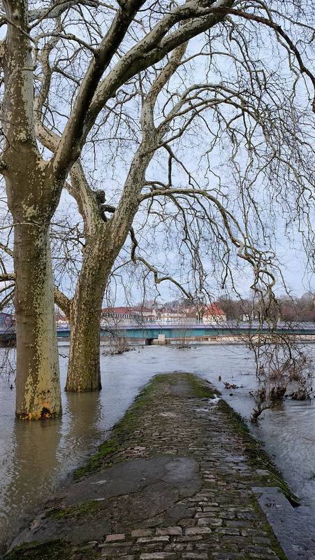BESANCON: 2018.01.07 Innondation du Doubs due à la tempète Eleanor24