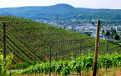 DE - Bad Neuenahr - Hiking in the vineyards