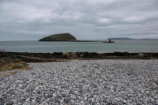 Puffin Island