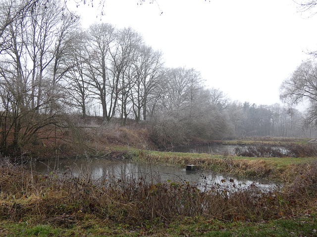 Weiher an der Pfaltermühle