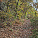 Herbst im Sauerland