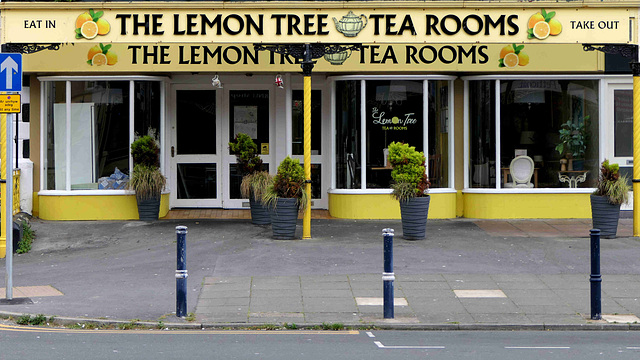 Llandudno  - The Lemon Tree