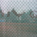 IMG 7912
