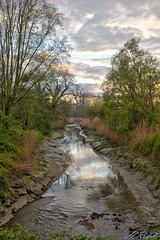 An evening tributary walk