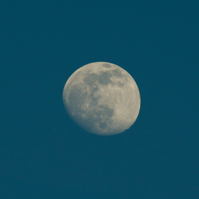 Mond VI - 24.02.21 >>crop<<