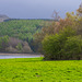 Cat Wood edge and  Swineshaw-5484