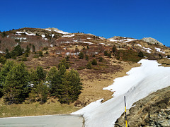 Isaba (Navarra), 14