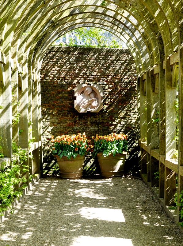 Beech pergola