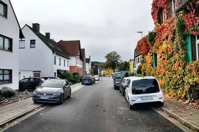 Landsberger Straße (Essen-Kettwig) / 1.11.2023