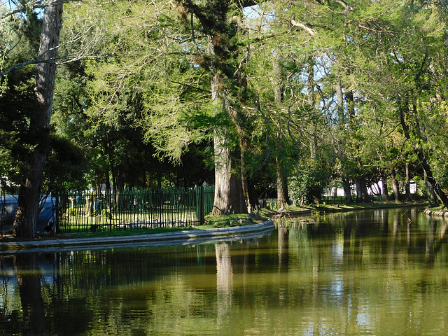 Parc de Montélimar (26)*************