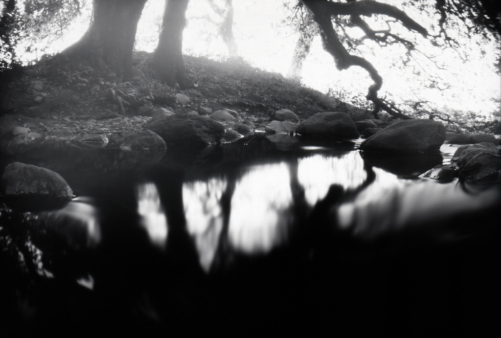 Crane Creek Pinhole