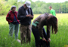 2017-05-20 13 Eo Domholzschänke