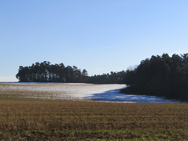 Frühling oder Winter ?