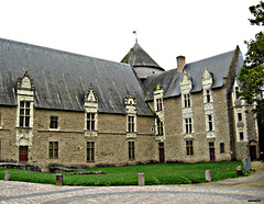 LAVAL Le vieux chateau