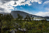 Laponia ... 'Aprilwetter' im September (© Buelipix)