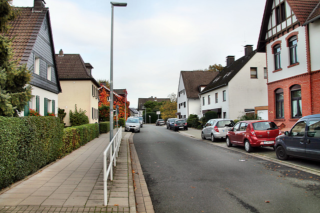 Landsberger Straße (Essen-Kettwig) / 1.11.2023