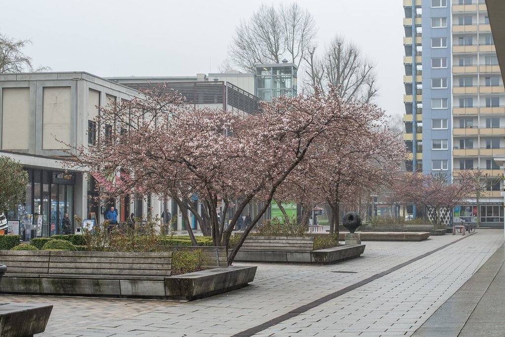 085-365, Chemnitzer Rosenhof
