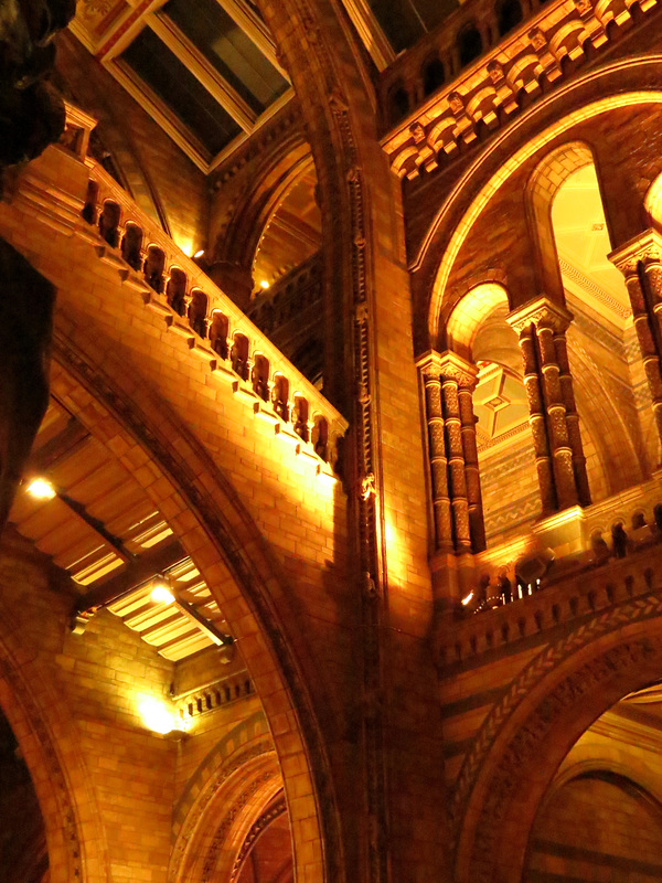 natural history museum, south kensington, london
