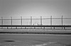 Barbed wire fence