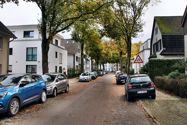 Arndtstraße (Essen-Kettwig) / 1.11.2023