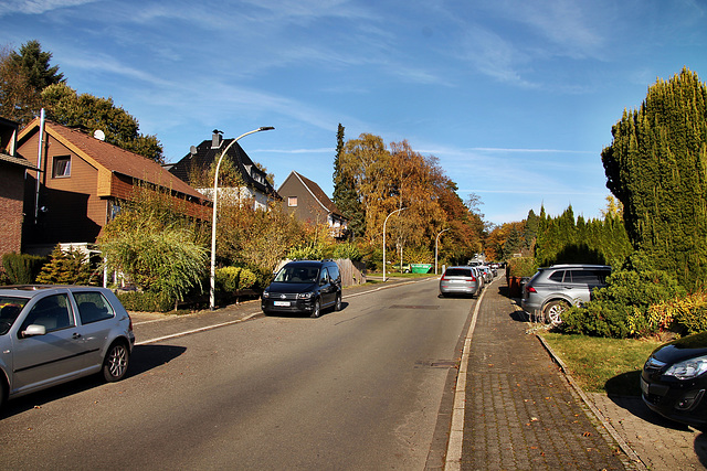 Am Susewind (Gevelsberg-Silschede) / 26.10.2024