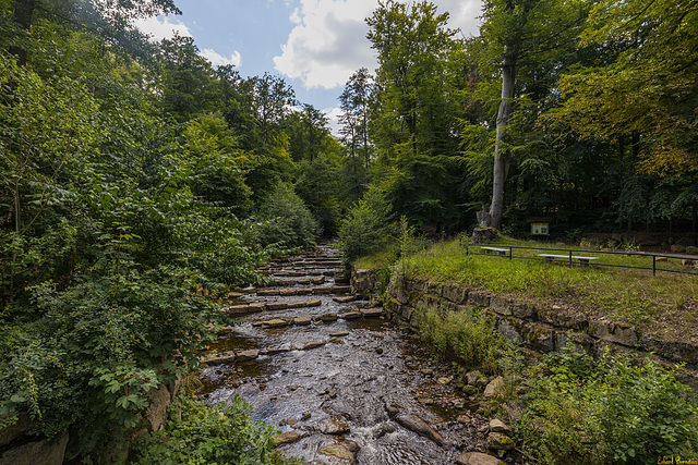 Die gar nicht so wilde Ilse Die gar nicht so wilde Ilse