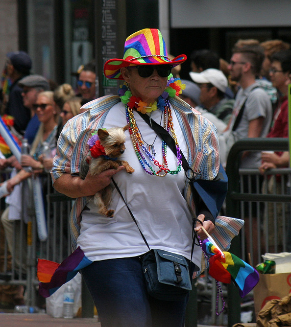 San Francisco Pride Parade 2015 (6867)