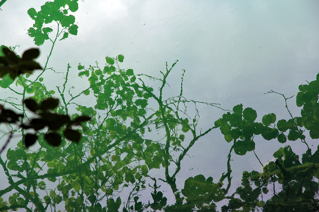 Spiegelung im Kleinen Montiggler See