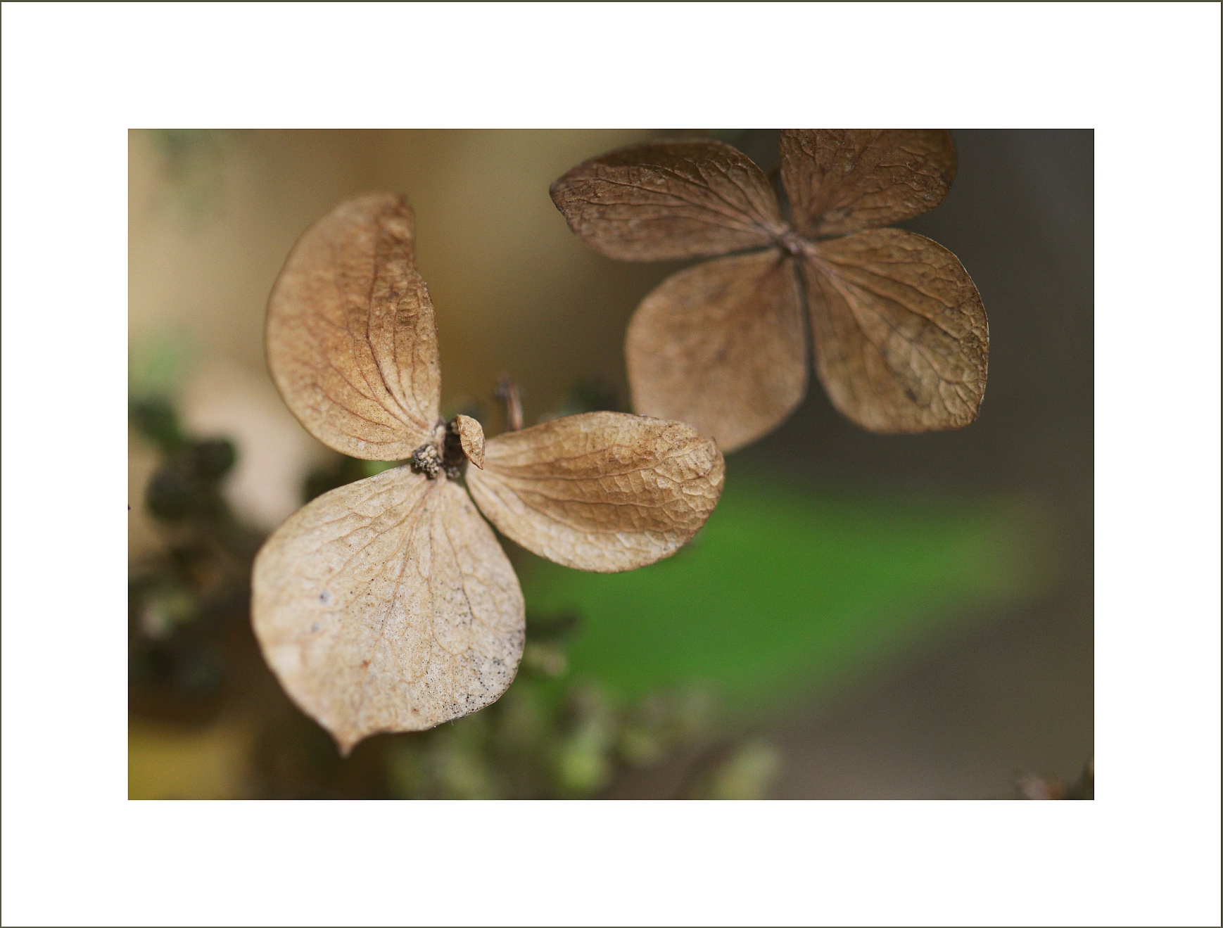 ...herbstlich...