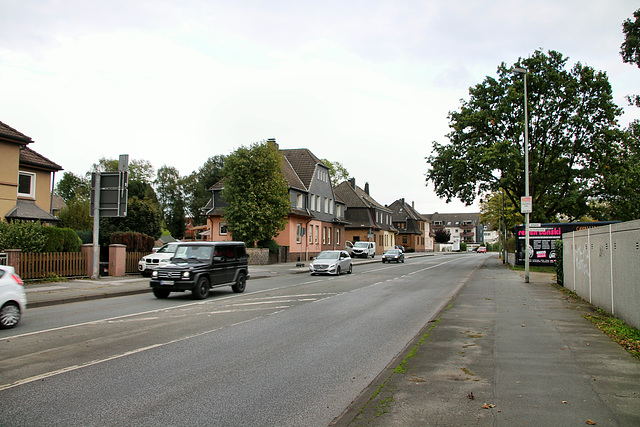 B226 Dorstener Straße (Wanne-Eickel) / 5.10.2019