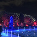 Denver Botanical Gardens Christmas lights 2020