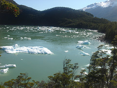 GLACIAR