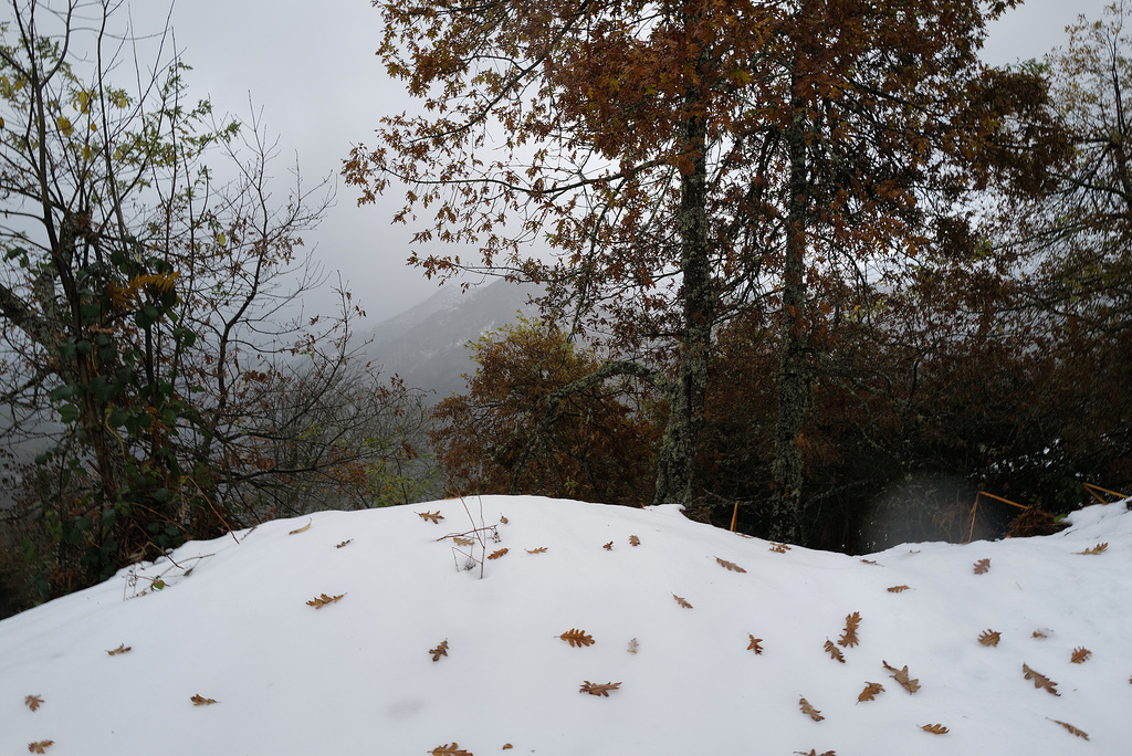 Ponga Nat. Park, Picos de Europa