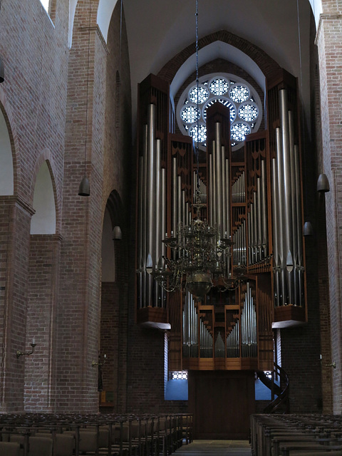 Dom, Orgel