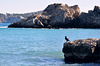 Caló de ses Llisses  - Cala Fornells (© Buelipix)