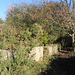 Anti-Tank Blocks, Thorpeness, Suffolk