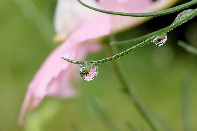 Les plaisirs de l'eau !