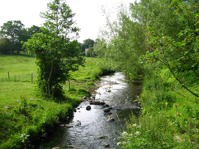 Smestow Brook seen from Woodford Lane