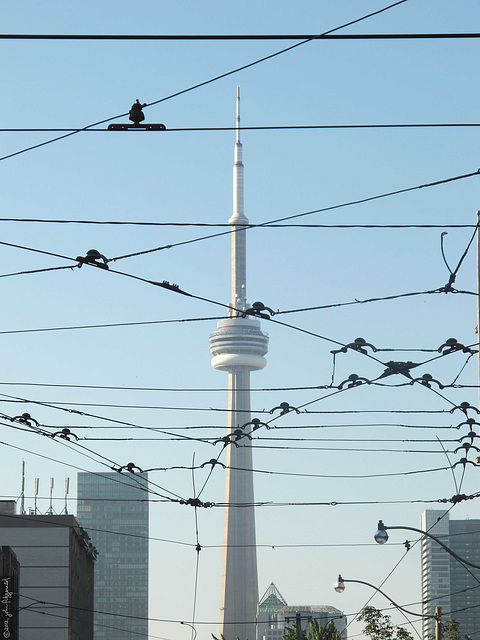 CN Tower, Toronto