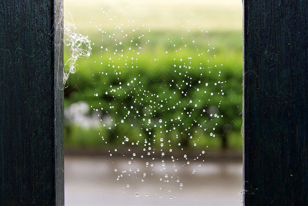 Gouttes d'eau en suspension .