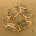 Moeraki boulders - boulder crumbling away