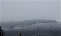 brouillard givrant -matin glacé